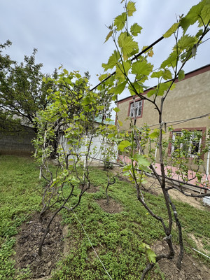 Купить  дом